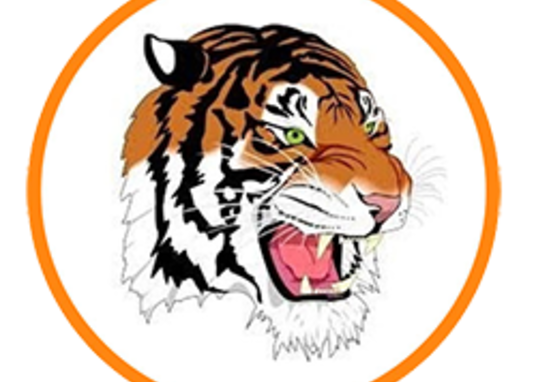 Summer Camp Mansfield